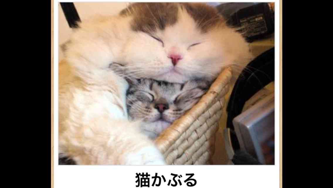 自由に遊べるトピ♡