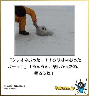 自由に遊べるトピ♡