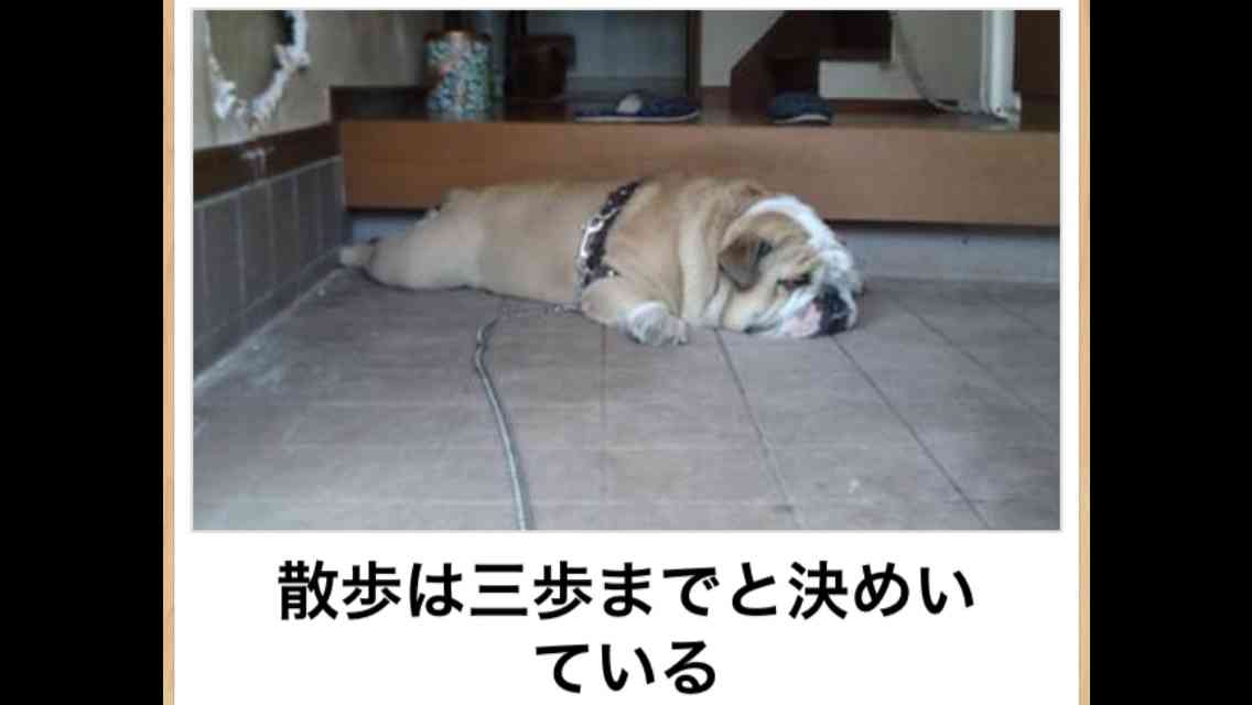 自由に遊べるトピ♡