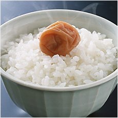 自由に遊べるトピ♡