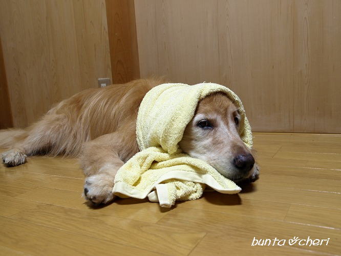 わざとやってる？と聞きたくなるような画像