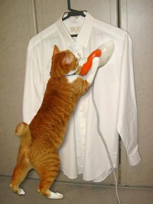 わざとやってる？と聞きたくなるような画像