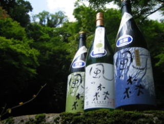 オススメの地酒教えて下さい。