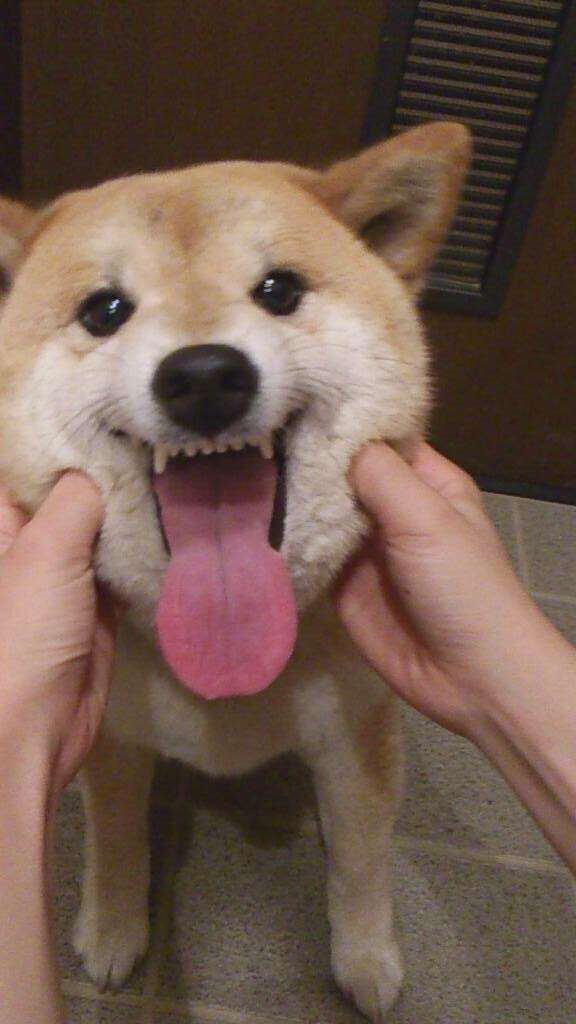 タトゥーいれてる方
