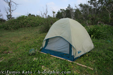 年収100万円減るとしたら