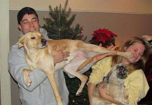 動物に嫌われてるっぽい人