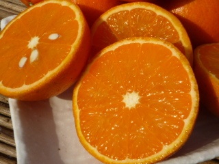 柑橘系の果物が好きな人
