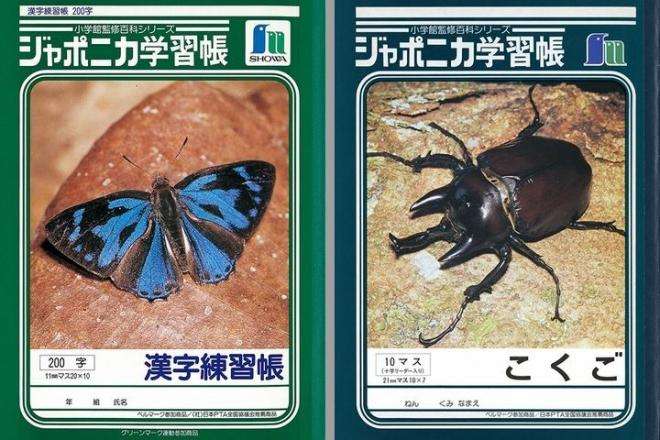 ガールスカウト出身のかた！