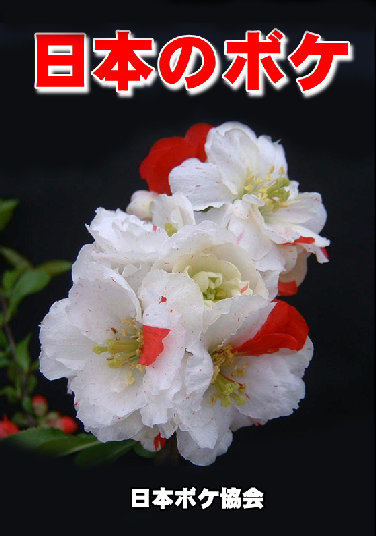 自分のボケた行動