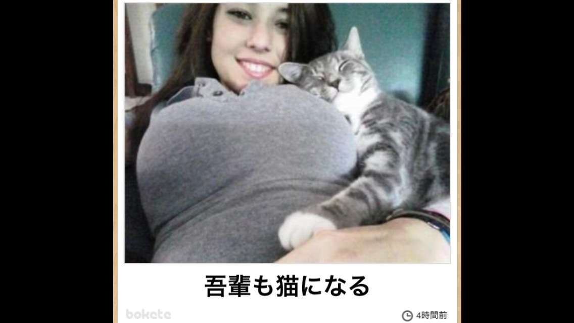 【画像】人間すぎる動物の画像を貼ろう！