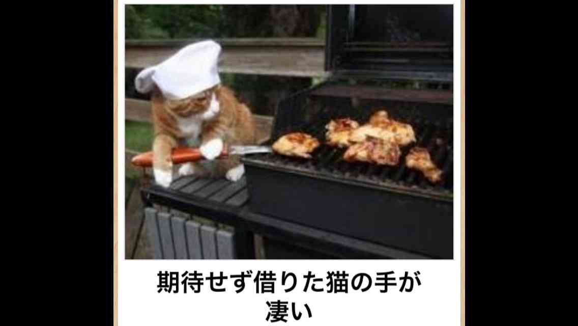 【画像】人間すぎる動物の画像を貼ろう！