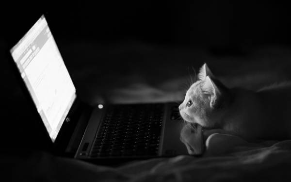 【画像】人間すぎる動物の画像を貼ろう！