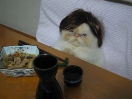 【画像】人間すぎる動物の画像を貼ろう！