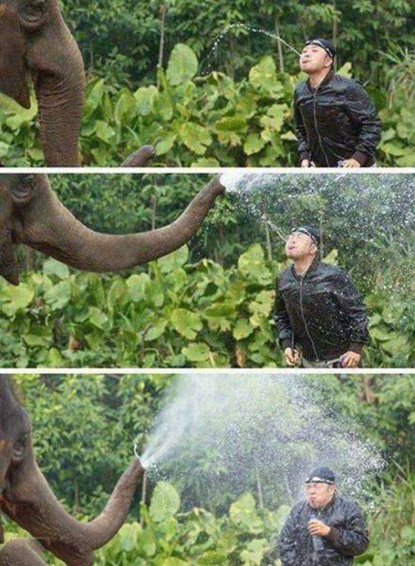 【画像】人間すぎる動物の画像を貼ろう！