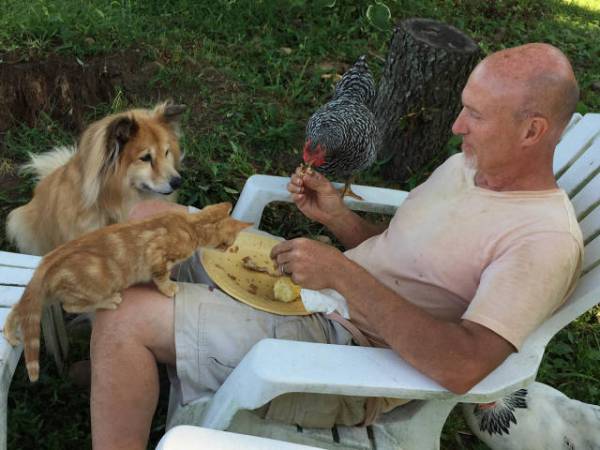 【画像】人間すぎる動物の画像を貼ろう！