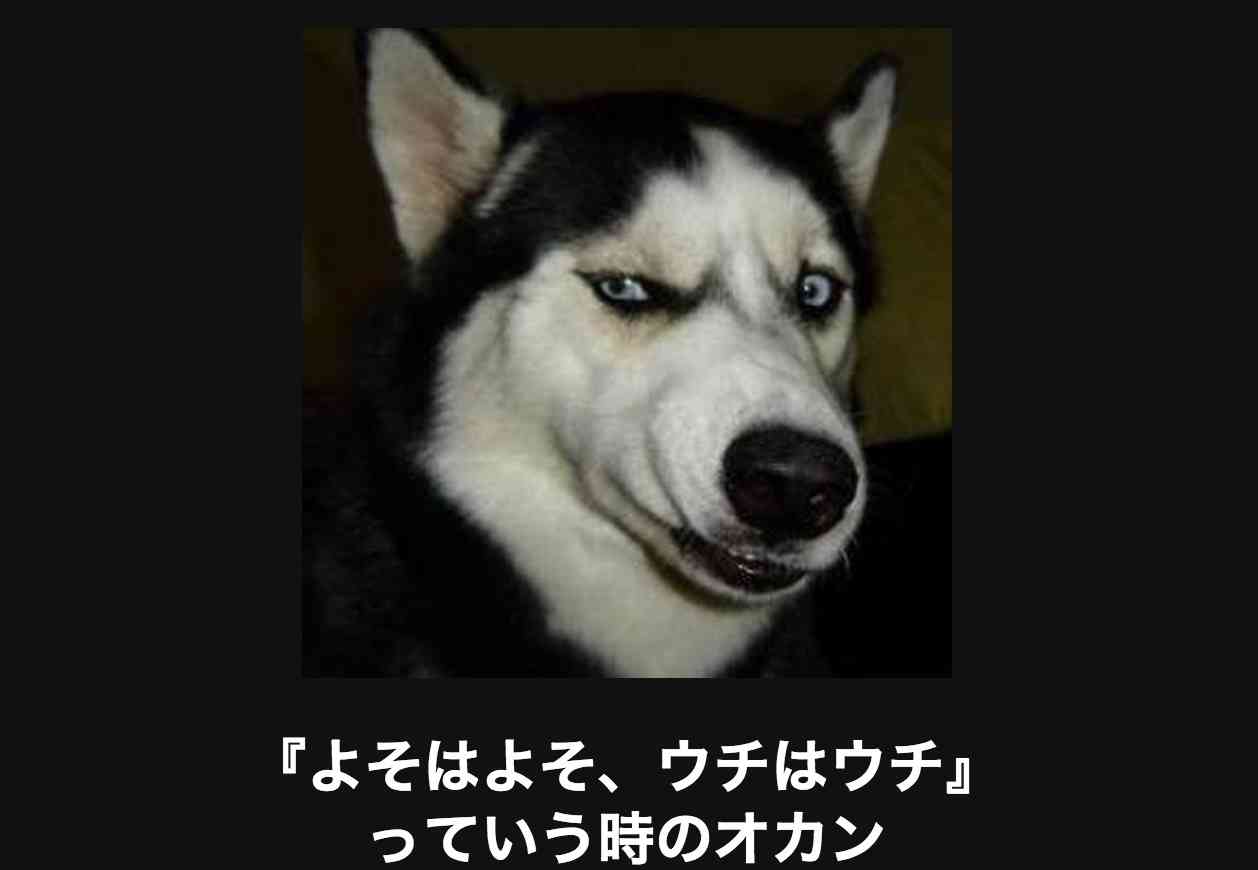 【画像】人間すぎる動物の画像を貼ろう！