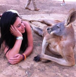 【画像】人間すぎる動物の画像を貼ろう！
