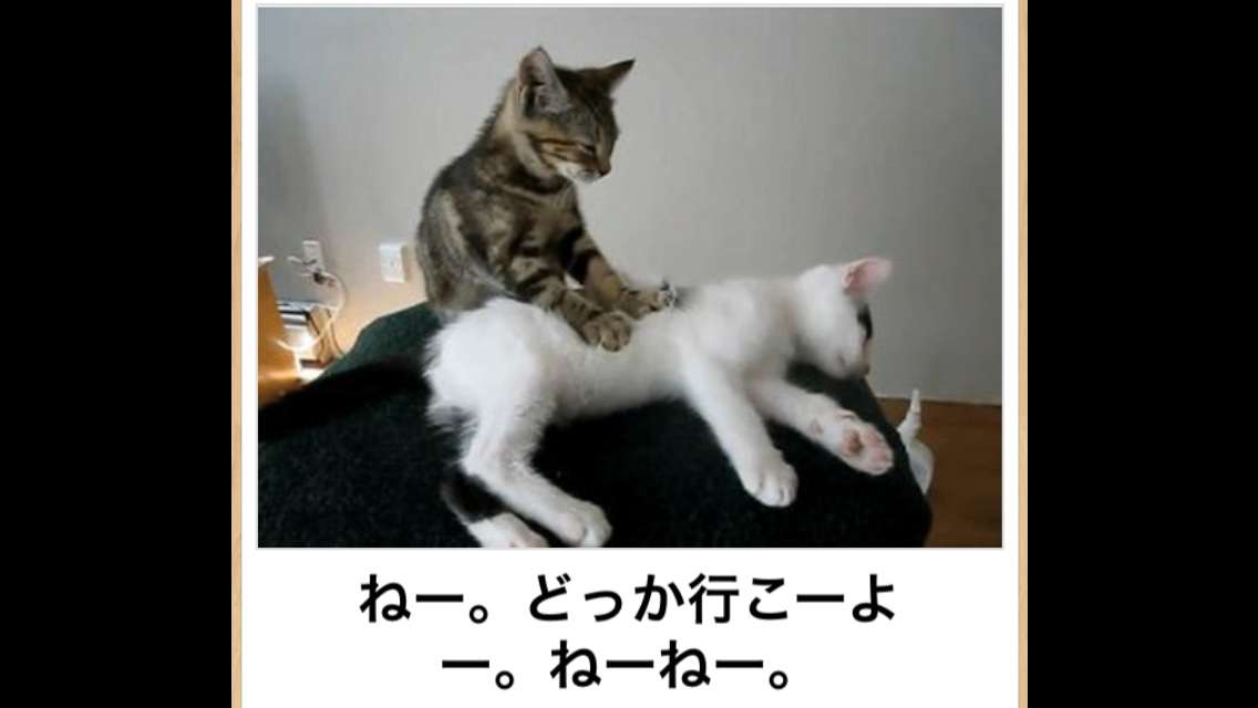 【画像】人間すぎる動物の画像を貼ろう！