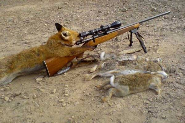 【画像】人間すぎる動物の画像を貼ろう！