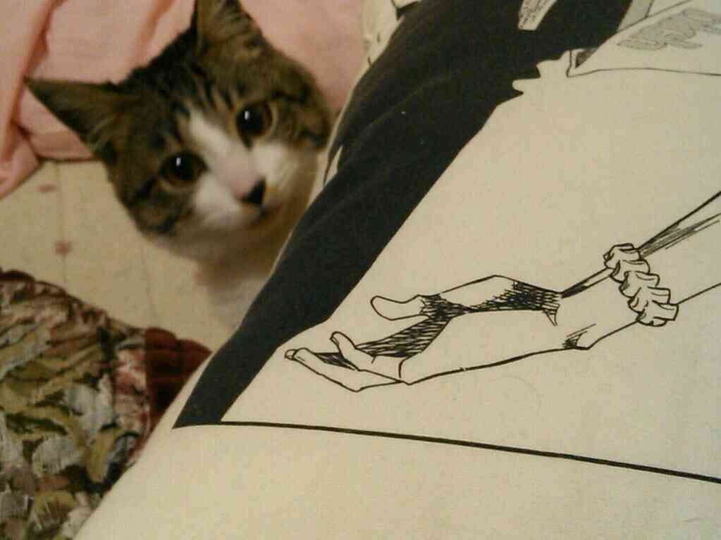 我が家のペットの写真とエピソード