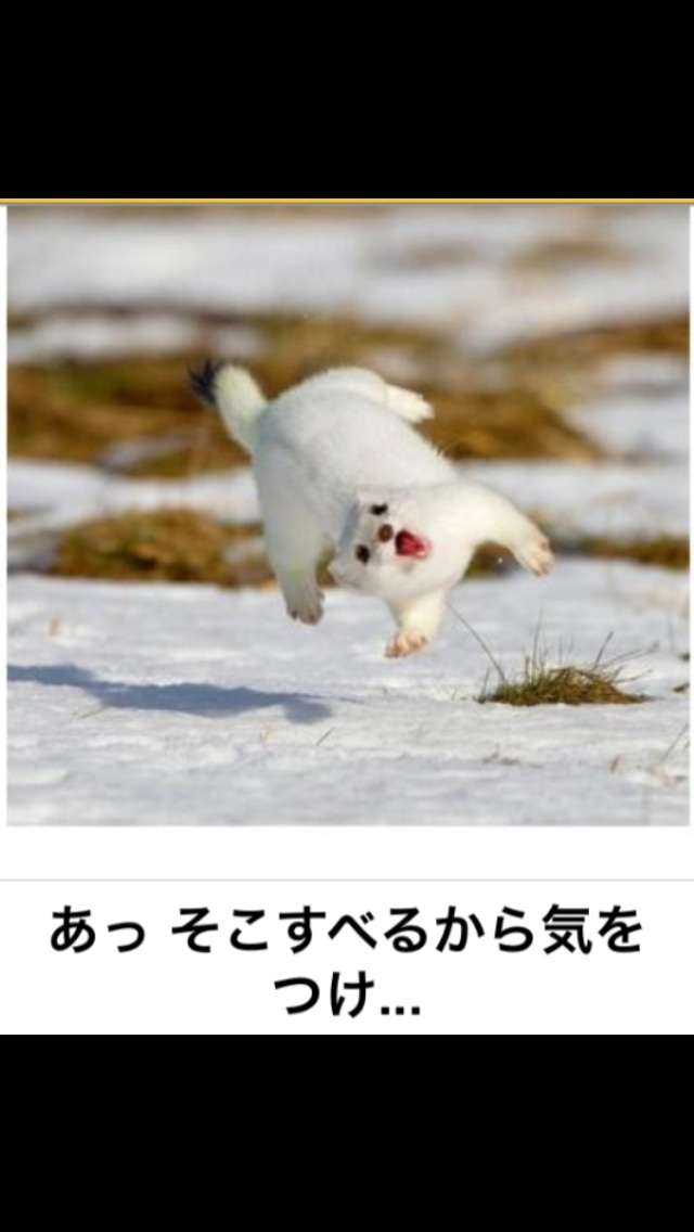 いろんなポーズの画像を貼るトピ