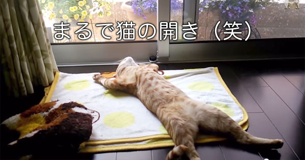 いろんなポーズの画像を貼るトピ