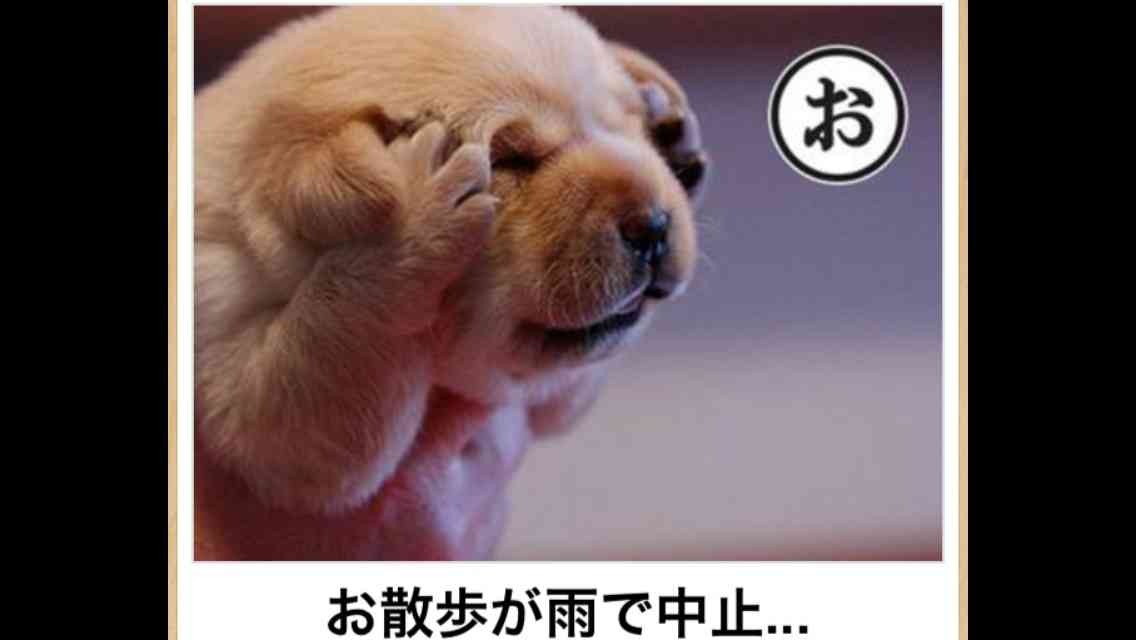 いろんなポーズの画像を貼るトピ