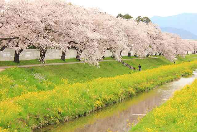 田舎住みor田舎が好きな人