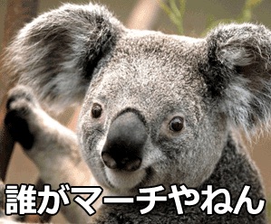 画像で会話するトピック
