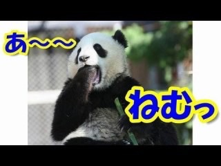 画像で会話するトピック