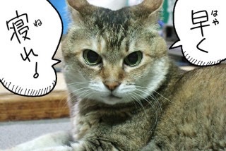 画像で会話するトピック