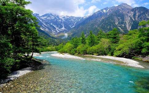 苦手な海外セレブ