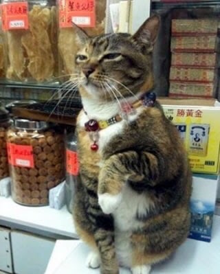玄関に飾ってあるもの