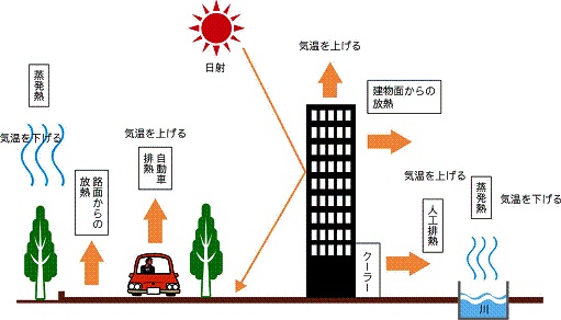 毎日24時間クーラーをつけっぱなしで1ヶ月過ごした結果…