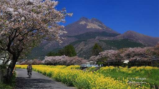 我が県の誇り( ・`д・´)