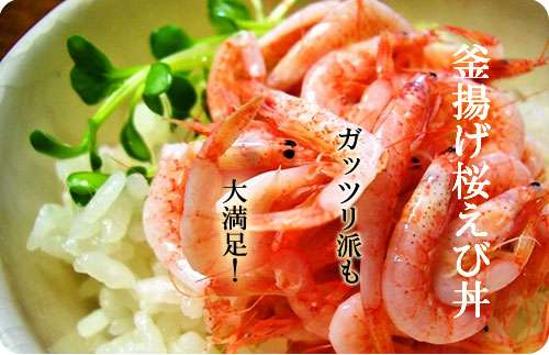 伊豆の観光スポット