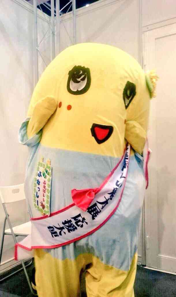 Twitterでフォローしてる 公式アカウント