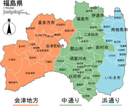 【福島】モミの木に異常が多発 帰還困難区域の山林