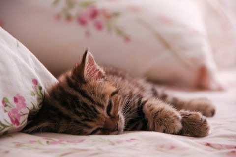 いま疲れている方～何がしたいですか？