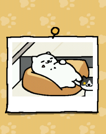 【ねこあつめ】お気に入りの写真を貼るトピ