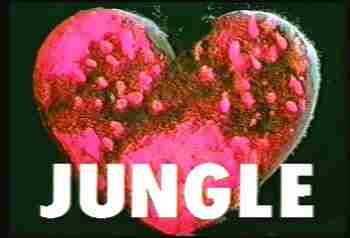 90~00年代初期のフジテレビ深夜枠について