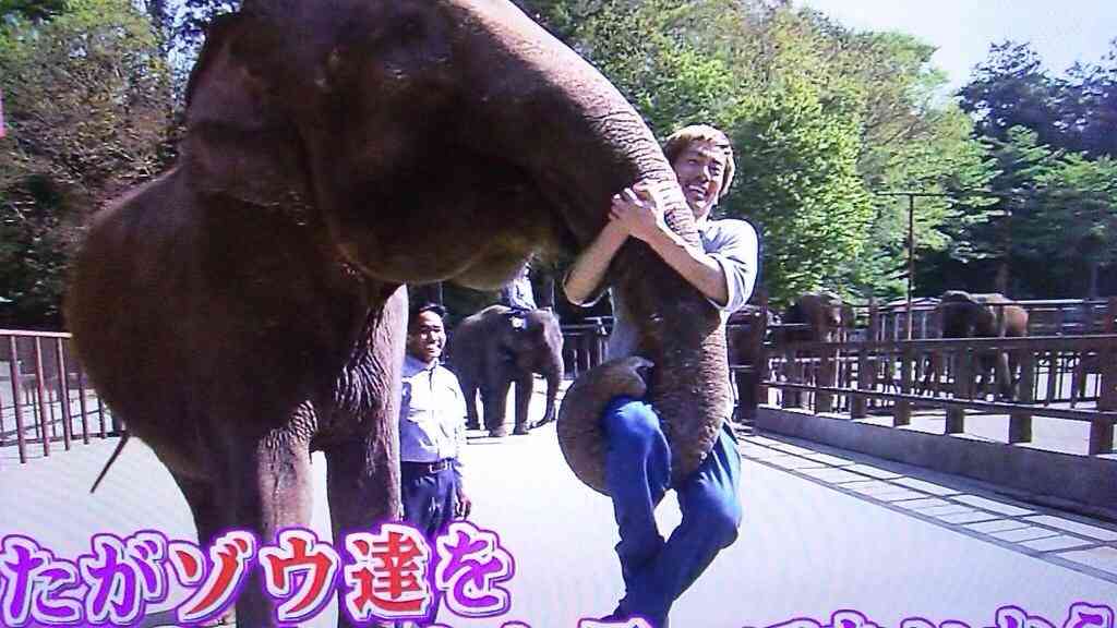 35歳以上のジャニーズで、好きな人！