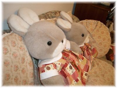 あなたが持っているぬいぐるみ何ですか。ぬいぐるみを書くトピ。