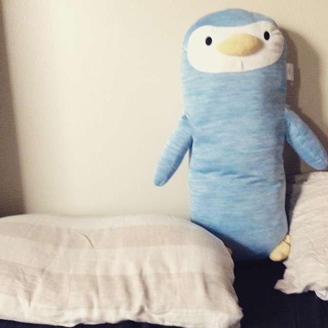 あなたが持っているぬいぐるみ何ですか。ぬいぐるみを書くトピ。