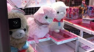 あなたが持っているぬいぐるみ何ですか。ぬいぐるみを書くトピ。