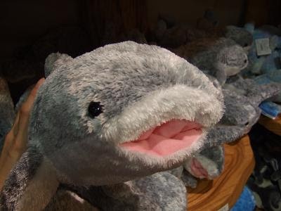あなたが持っているぬいぐるみ何ですか。ぬいぐるみを書くトピ。