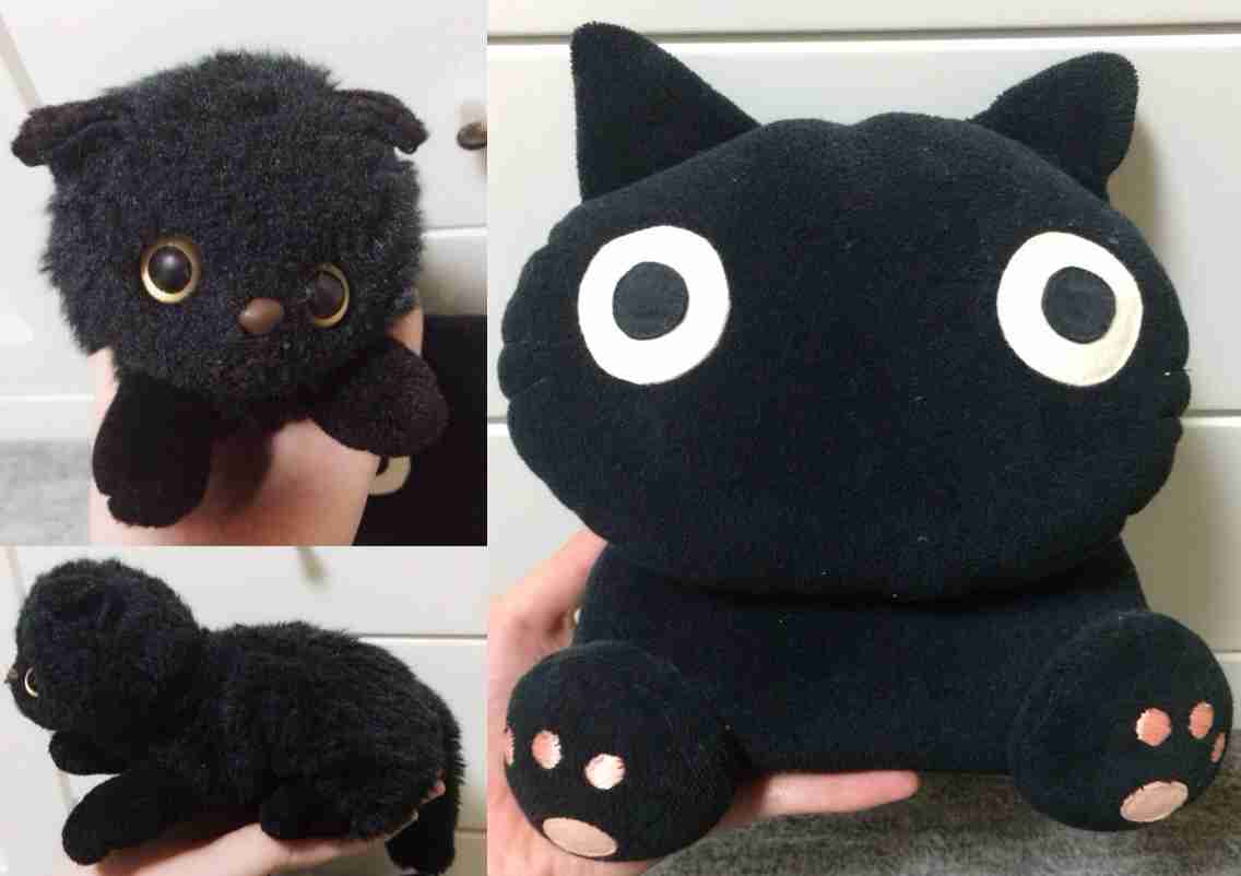 あなたが持っているぬいぐるみ何ですか。ぬいぐるみを書くトピ。
