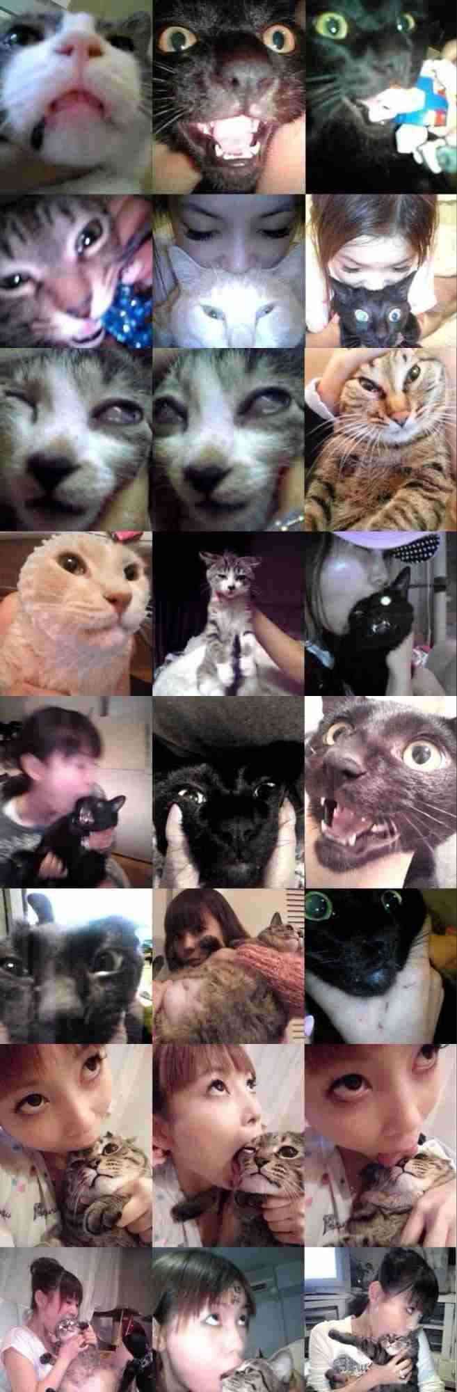 中村アンが自撮りをするためだけに飼っている犬を「嫌いです」と告白