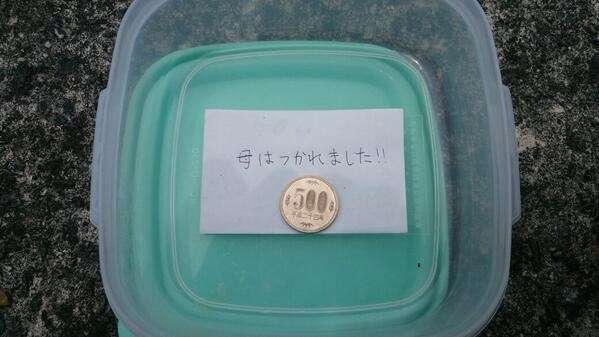 何となく悲しいお弁当の話し、ありますか？