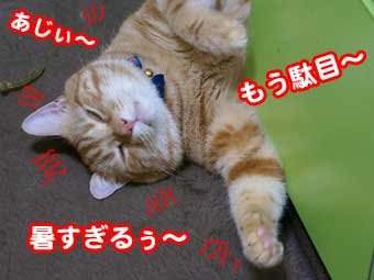 トピ主になったことがある人